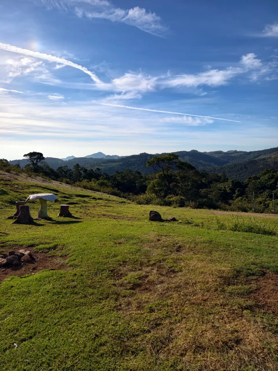 Open Nilgiri landscape at a forest camp in Kodanad
