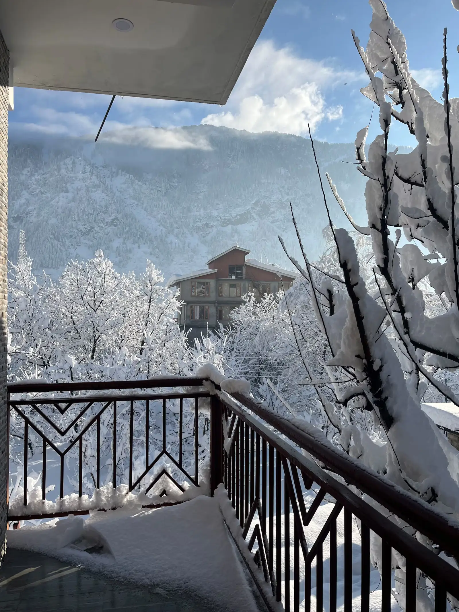 A snowy balcony looking across frosted trees in Old Manali