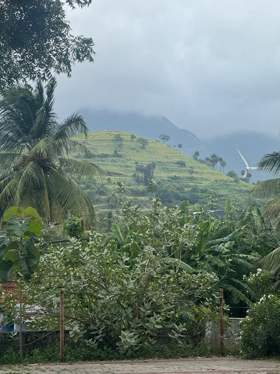 Social Detox Exclusive Farm Stay — Tenkasi, Tamil Nadu